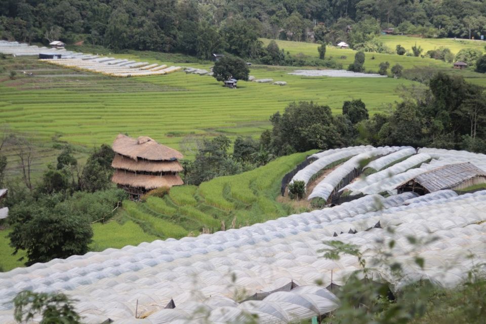 Private Tour Doi Inthanon, Trekking Nature Trail, Chiang Mai - Recommendations