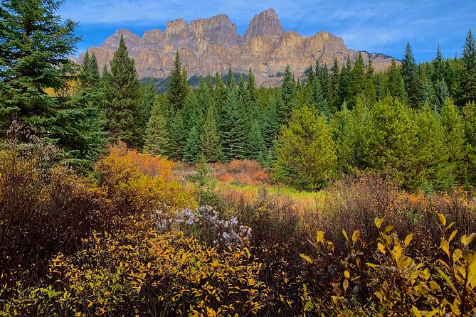 Private Tour for up to 24 Guests of Lake Louise and the Icefield Parkway - Common questions