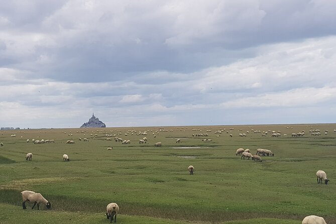 Private Tour From Paris via Rennes to Mont Saint-Michel With Driver-Guide - Contact Information for Inquiries