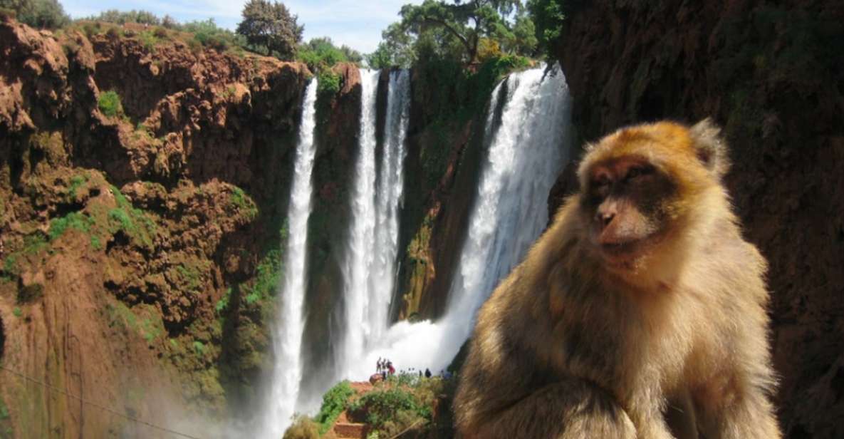 Private Tour Marrakech: Ouzoud Waterfalls Guided & Boat Ride - Scenic Exploration