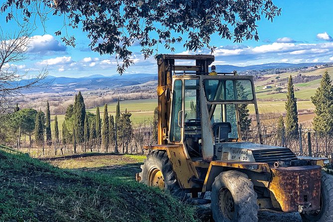 Private Tour: Montalcino Wine Tasting Experience - Sightseeing Option
