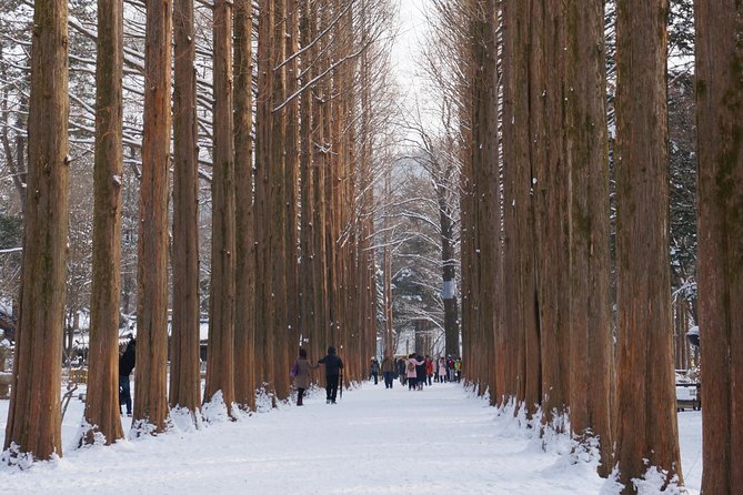 [Private Tour] Nami Island & Snow Viewing and Snow Sled (More Members Less Cost) - Customer Reviews