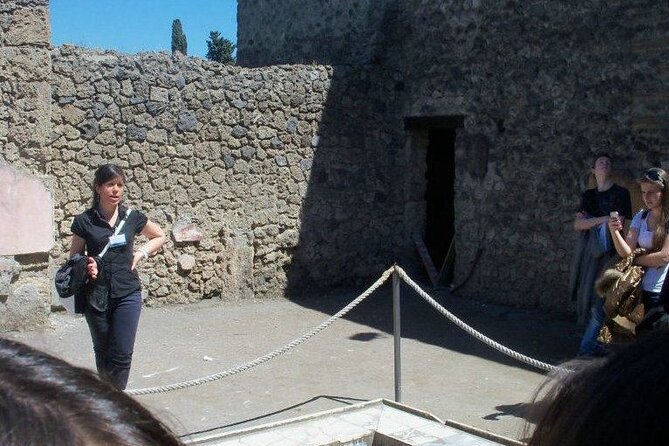 Private Tour of the Pompeii Excavations - Additional Information and Assistance