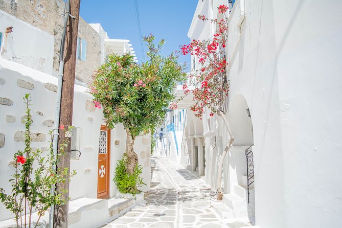 Private Tour: Paros Highlights 6 Hours - Common questions