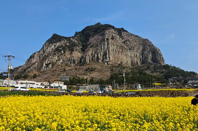 Private Tour South and West Jeju Island With Experienced Driver - Cancellation Policy and Refund Details