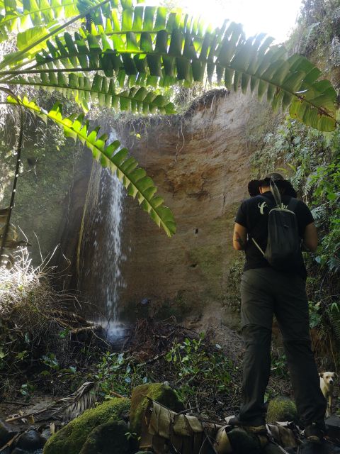 Private Tour to La Gaitana Archaeological Park in Quinchana - Common questions