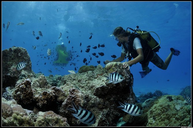 Private Tour: Underwater Scooter Bora Bora - Customer Support Details