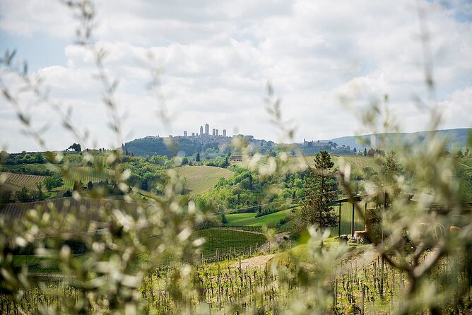 Private Tuscany Tour to Siena and San Gimignano With Winery Lunch - Last Words