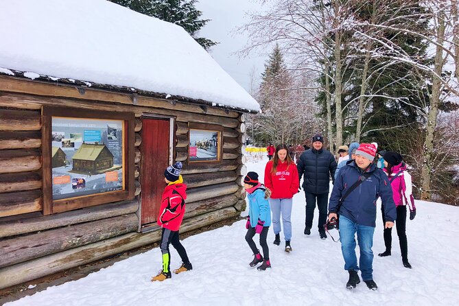 Private Whistler Sightseeing Tour: Discover All of Whistler in Comfort! - Scenic Areas and Iconic Sights