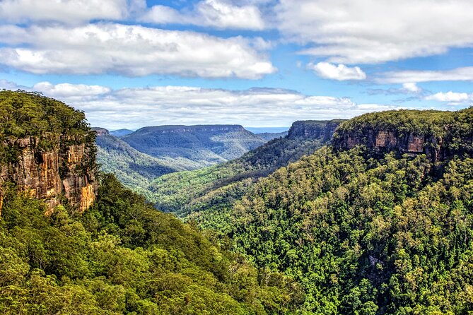 Private Wildlife Waterfalls and Wine Day Tour From Sydney - Booking Information