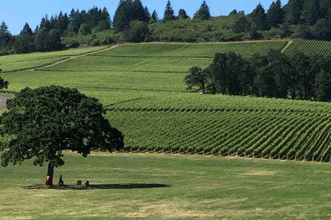 Private Wine Tour With Tastings From Eugene - Common questions