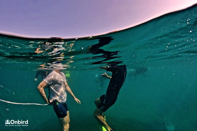 PROFESSIONAL SNORKELING to Explore Hidden Coral Spots (MAX 9 PAX) - Booking Process and Platform