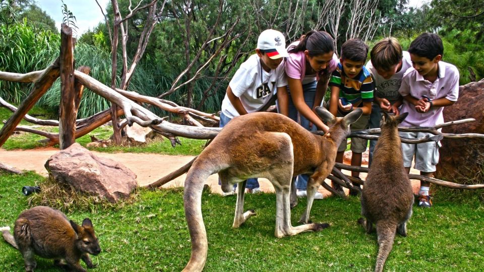 Puebla Africam Safari Park, Live an Unforgettable Adventure! - Common questions