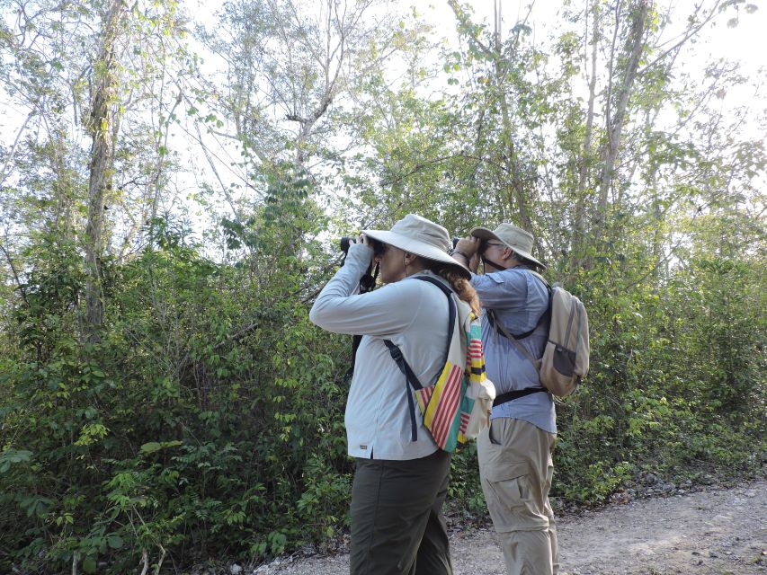 Puerto Morelos: Cenotes Birdwatching Tour Route - Tour Pricing