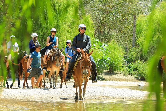 Puerto Vallarta Horseback Riding and Beach Break Adventure - Environmental Considerations