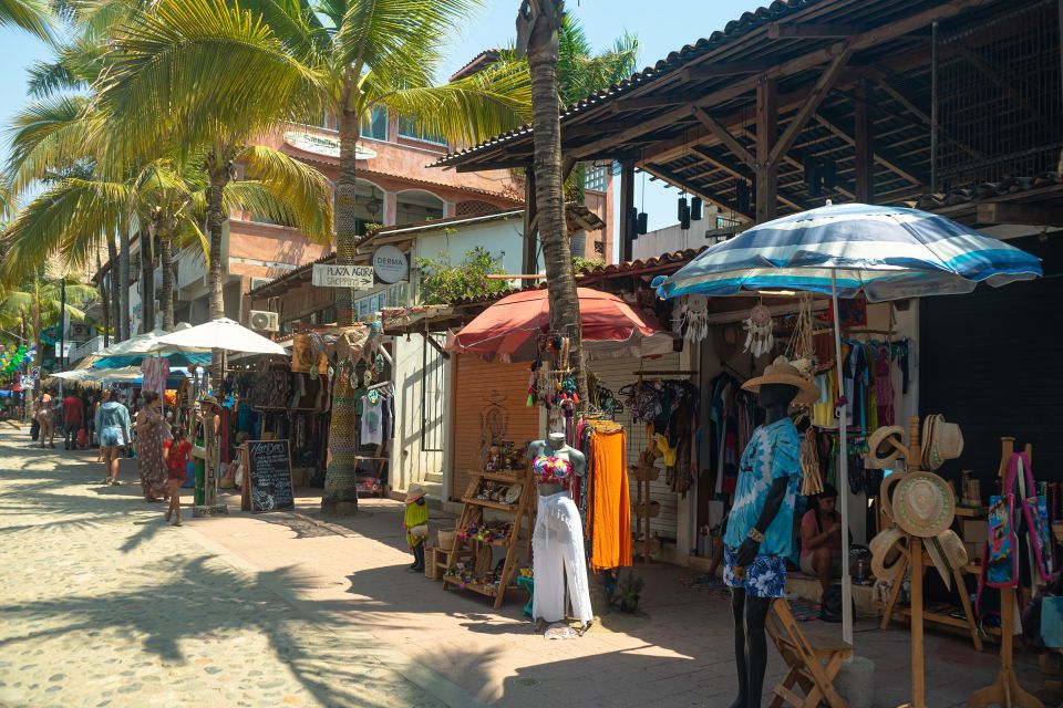 Puerto Vallarta: Sayulita and San Pancho Beaches Tour - Directions and Last Words