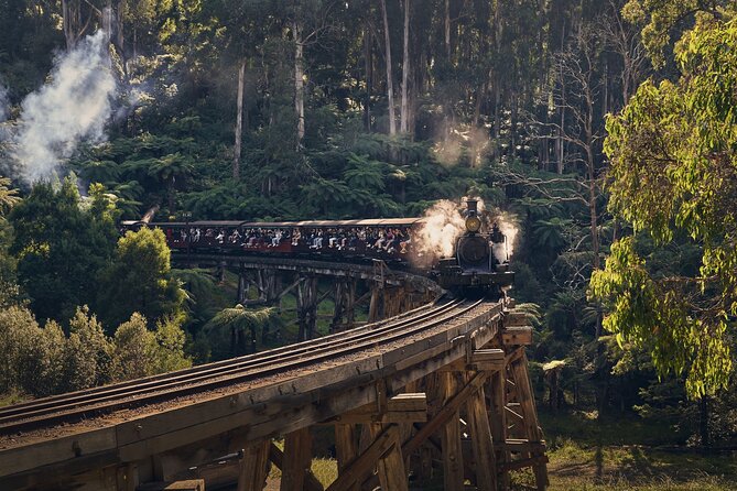 Puffing Billy, Moonlit Sanctuary and Chadstone Shopping Centre - Last Words