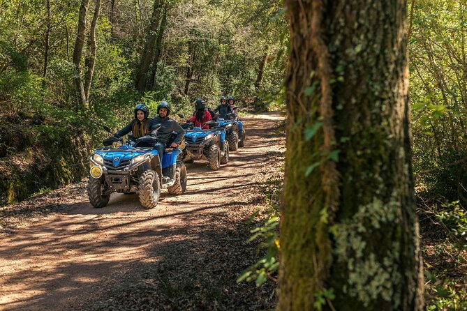 Quad Excursion in the Maremma With Barbecue in the Woods - Contact and Legal Information