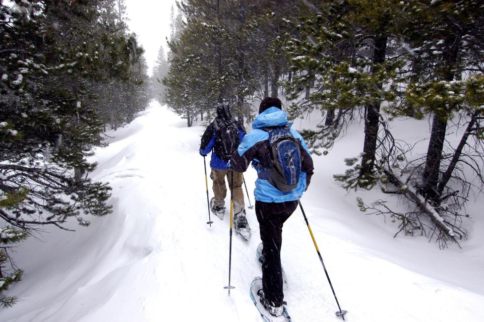 Quebec City: Jacques-Cartier National Park Snowshoeing Tour - Meeting Point Information