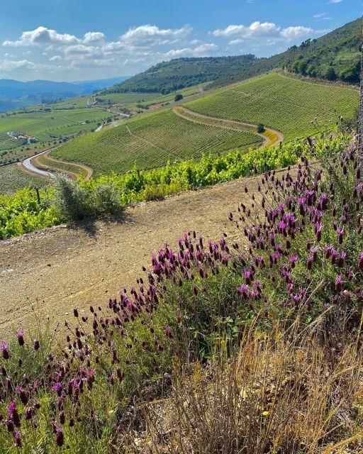 Quinta Do Portal: Walking With Full Lunch and Wine Tasting - Directions