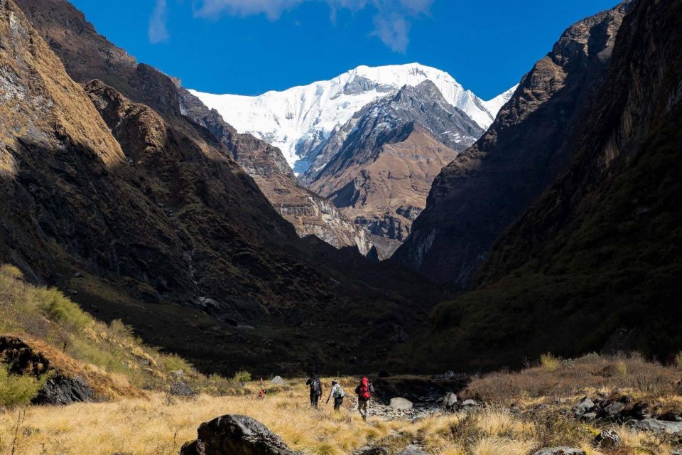 Rapid Annapurna Base Camp Trek - 9 Days - Trek Details and Transport