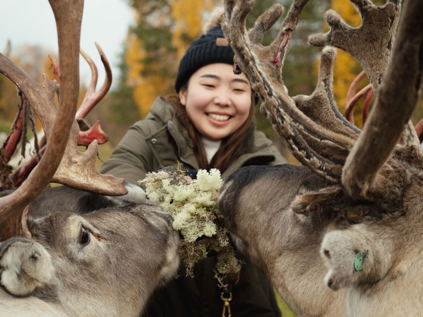 Reindeer Farm Visit With Professional Photographer - Common questions