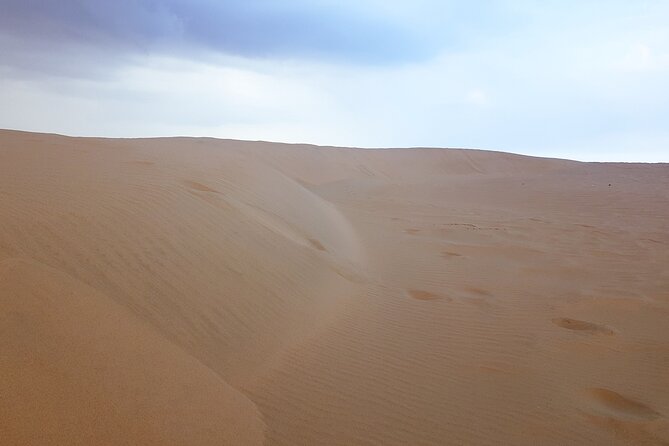 Relax Desert Safari Tour With Camel Ride and Sand Boarding - Customer Testimonials