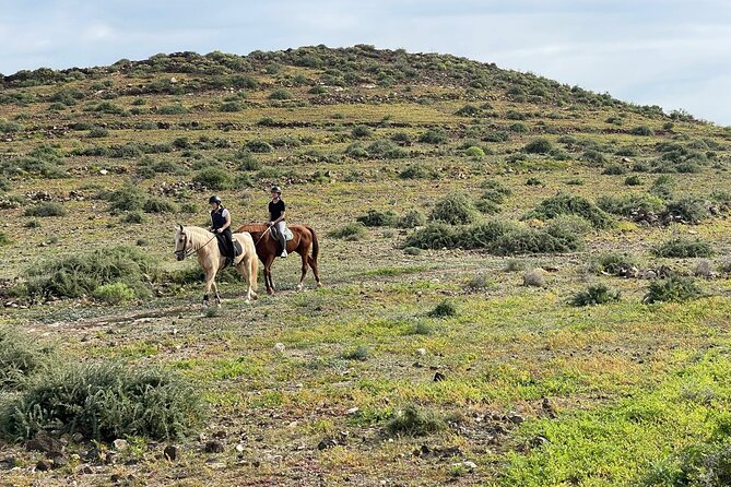 Relaxing Horse Riding Tour in Gran Canaria - Last Words