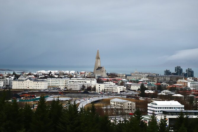 Reykjavik City Private Tour - Customized Experience
