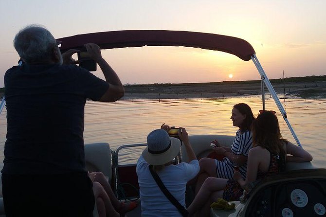 Ria Formosa Catamaran Sunset Islands Tour From Faro - Catamaran Type