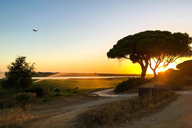 Ria Formosa Natural Park Birdwatching Segway Tour From Faro - Last Words