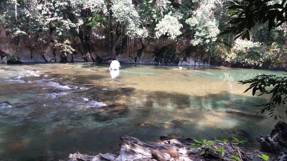 Rio Claro Jungle River: Private Tour From Medellín - Tour Guide and Transportation