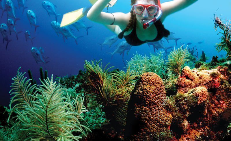 Riviera Maya: Two-Reef Snorkeling Experience - Directions for Snorkeling Adventure