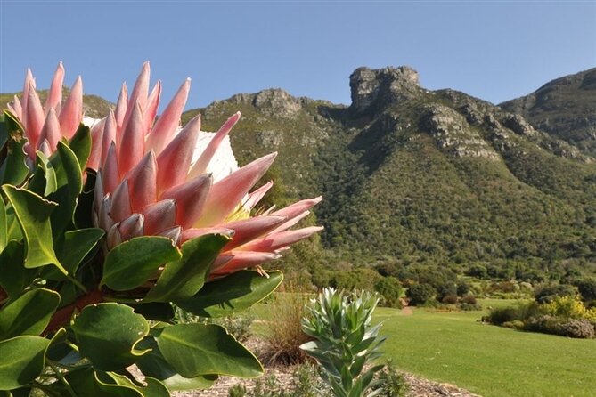 Robben Island ,Kirstenbosch Gardens and Groot Constantia. - Common questions