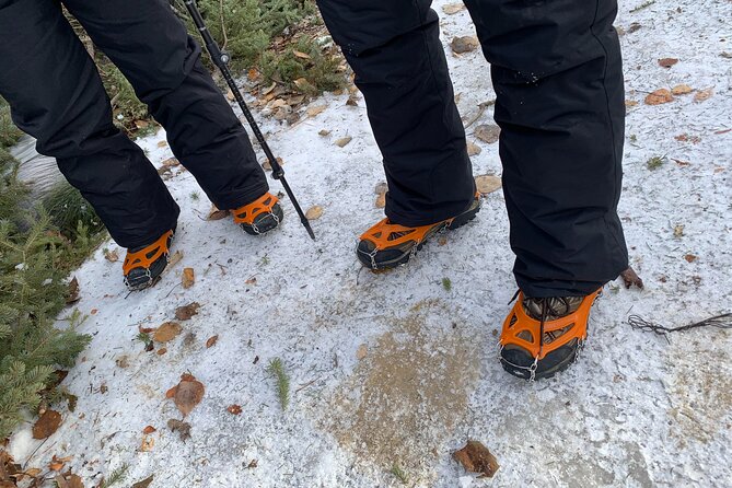 Rocky Mountains: Small-Group Winter Hike From Canmore - Last Words