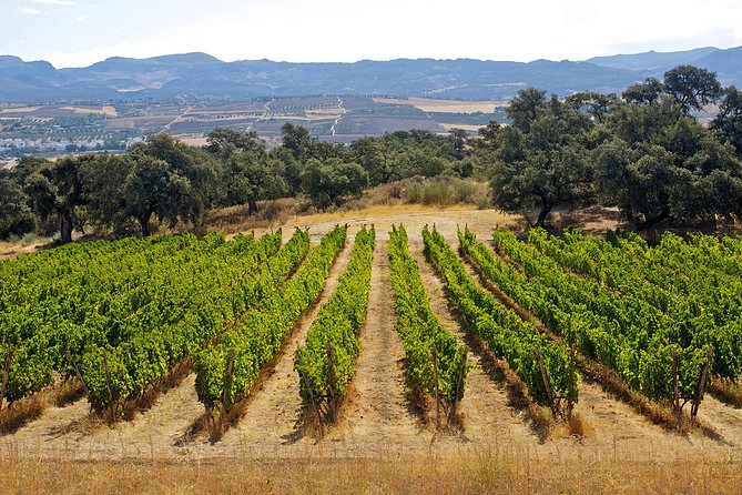 Ronda Private Full Day Wine Tour With Tapas - Booking Information