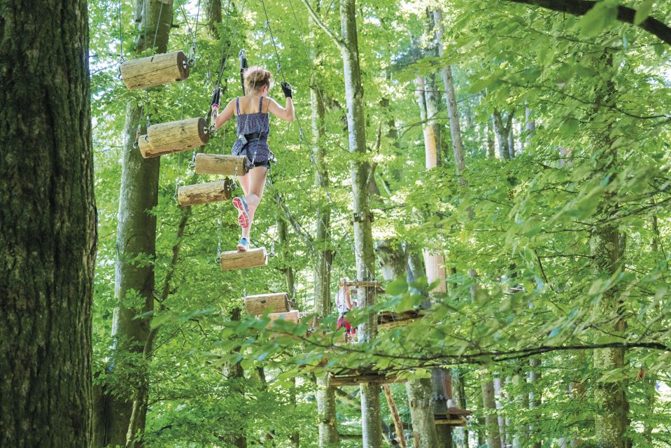 Rope Park Interlaken: Climbing Adventure With Entry Ticket - Suitable Age Groups