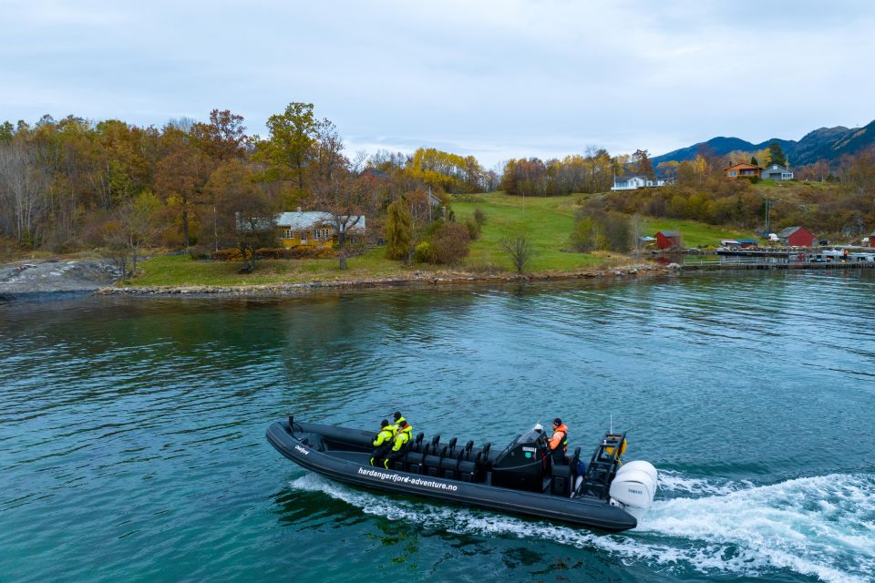 Rosendal Fjord Explore: RIB Adventure on the Hardangerfjord - Highlights