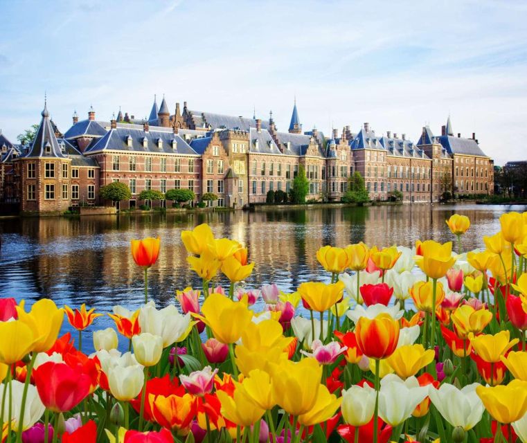 Rotterdam, Hague & Delft Private Tour From Amsterdam by Car - Reservation and Additional Information