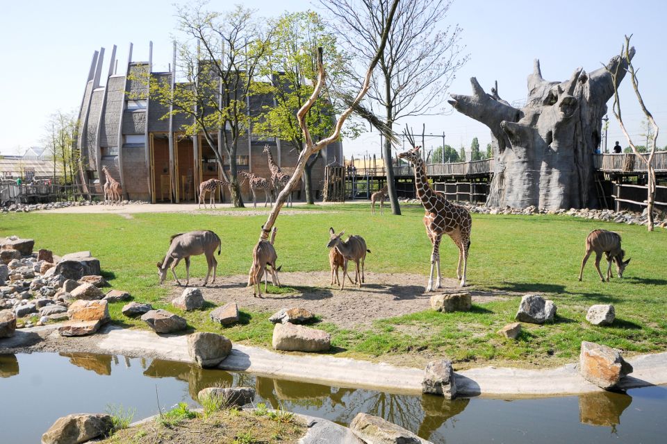 Rotterdam: Rotterdam Zoo Blijdorp Entry Ticket - Tips for Visiting