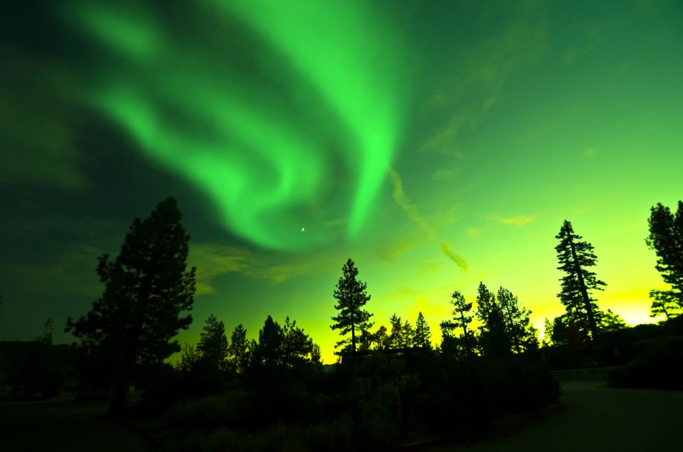 Rovaniemi: Guided Northern Lights Tour by Van - Unique Experiences and Amenities