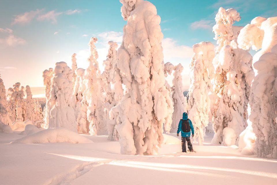 Rovaniemi: Hiking and Snowshoeing Adventure in Lapland - Directions