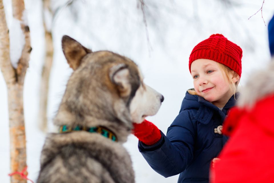 Rovaniemi: Husky Park and Reindeer Farm Combo by Minibus - Booking Details