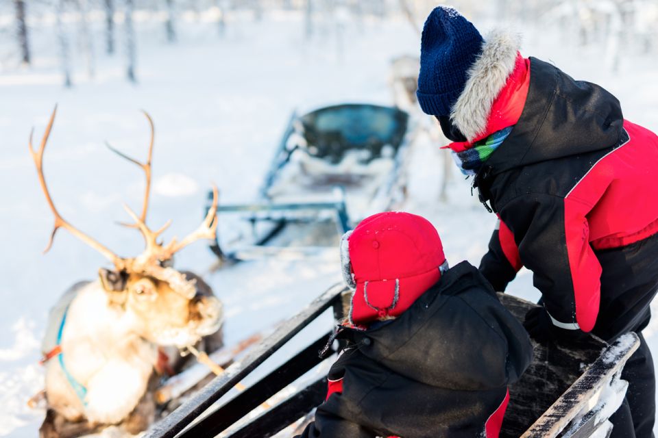 Rovaniemi: Husky & Reindeer Farm Visit With Snowmobile Ride - Booking Information