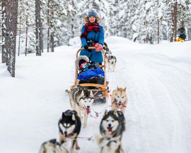 Rovaniemi: Husky Safari on a Snowy Trail - Last Words