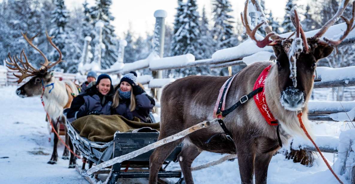 Rovaniemi: Local Reindeer Farm Visit With 2 Km Sleigh Ride - Last Words