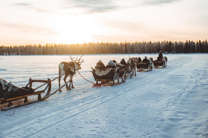 Rovaniemi Reindeer Sleigh Ride (Mar ) - Common questions
