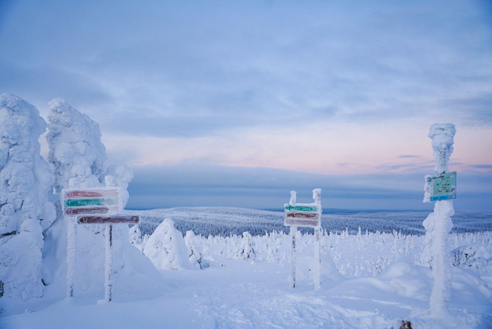 Rovaniemi: Riisitunturi National Park Day Trip With Lunch - Common questions