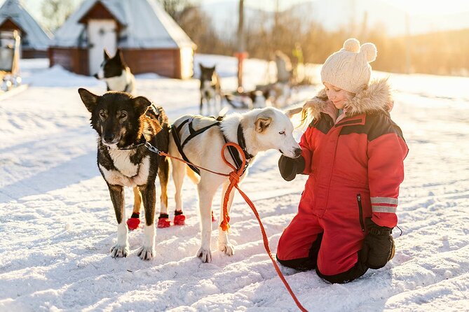 Rovaniemi Santa Claus Village, Reindeer and Husky Tour - Last Words