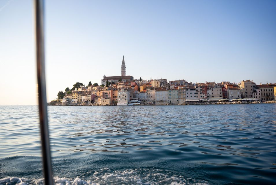 Rovinj: Dolphin Watching Sunset Speedboat Trip With Drinks - Important Cancellation Policy